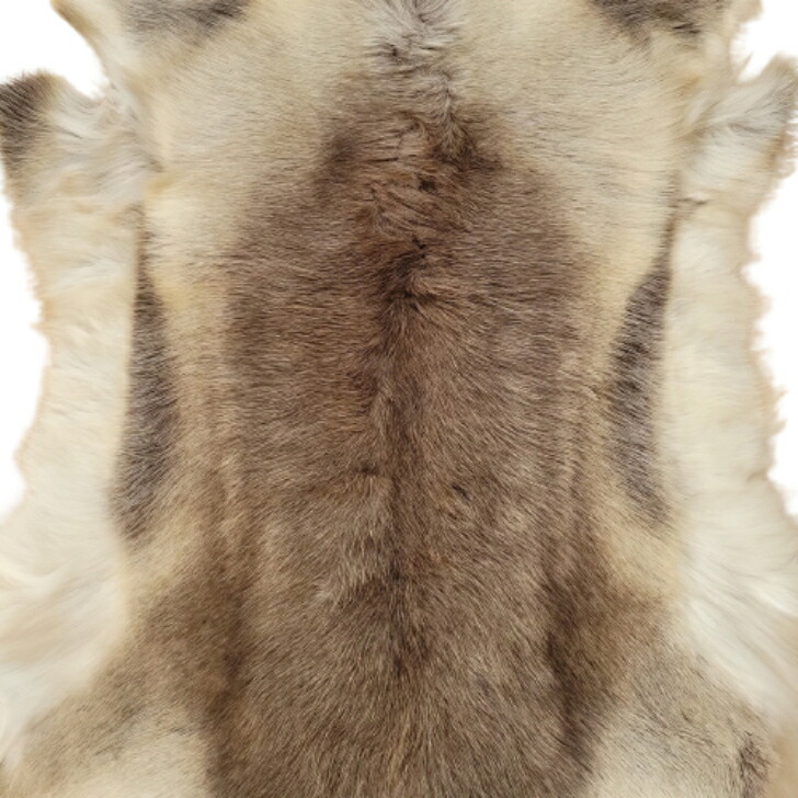 楽天市場】超特大サイズ【フィンランド ラップランド製】高級 トナカイ