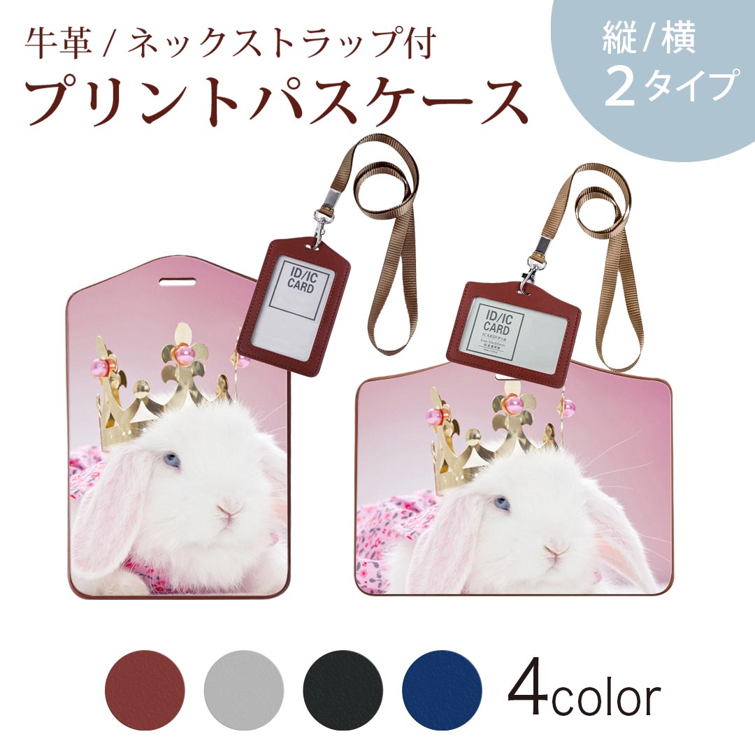 楽天市場】ご注文はうさぎですか パス ケースの通販