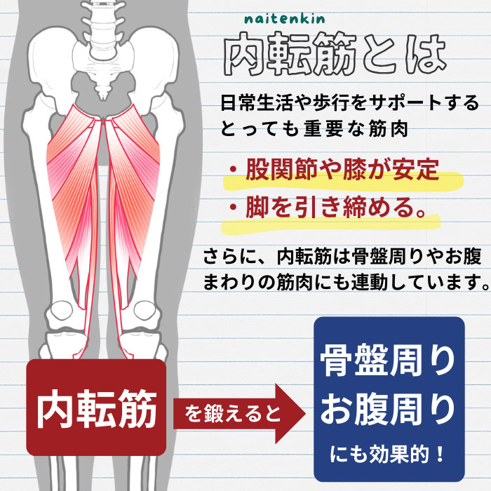 楽天市場】【最強配送】スタイリーボール レッド ネイビー ルネサンス