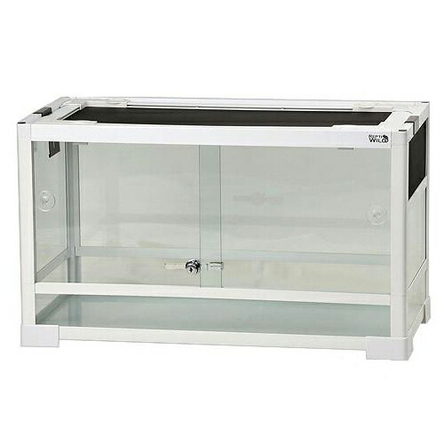 楽天市場】【3／1限定】当選確率2分の1！1等最大100％ 爬虫類