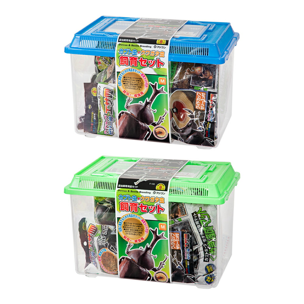 昆虫飼育用品 クワガタ 飼育セット」の人気商品一覧 | 安い商品を通販