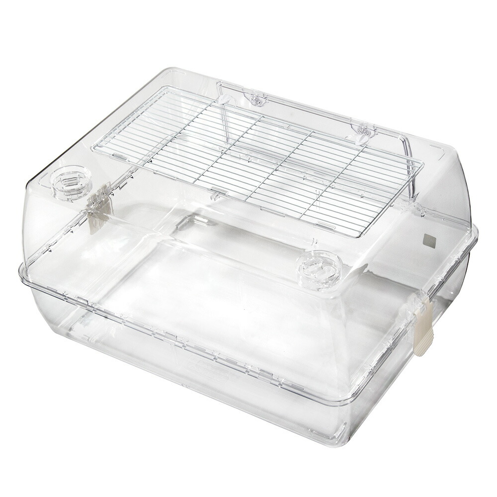 楽天市場】【3／1限定】当選確率2分の1！1等最大100