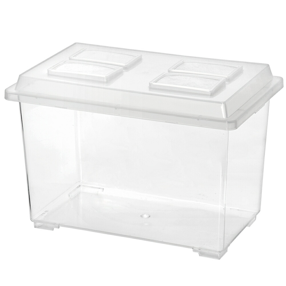 コバエシャッター 昆虫 飼育ケース 大」の人気商品一覧 | 安い商品を