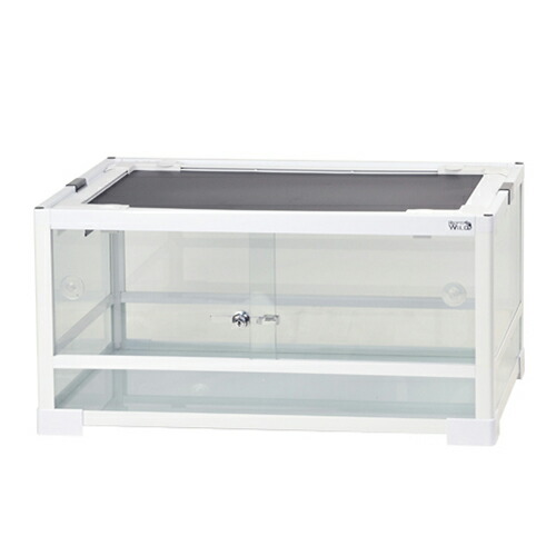 楽天市場】爬虫類 ケージ 60 45の通販