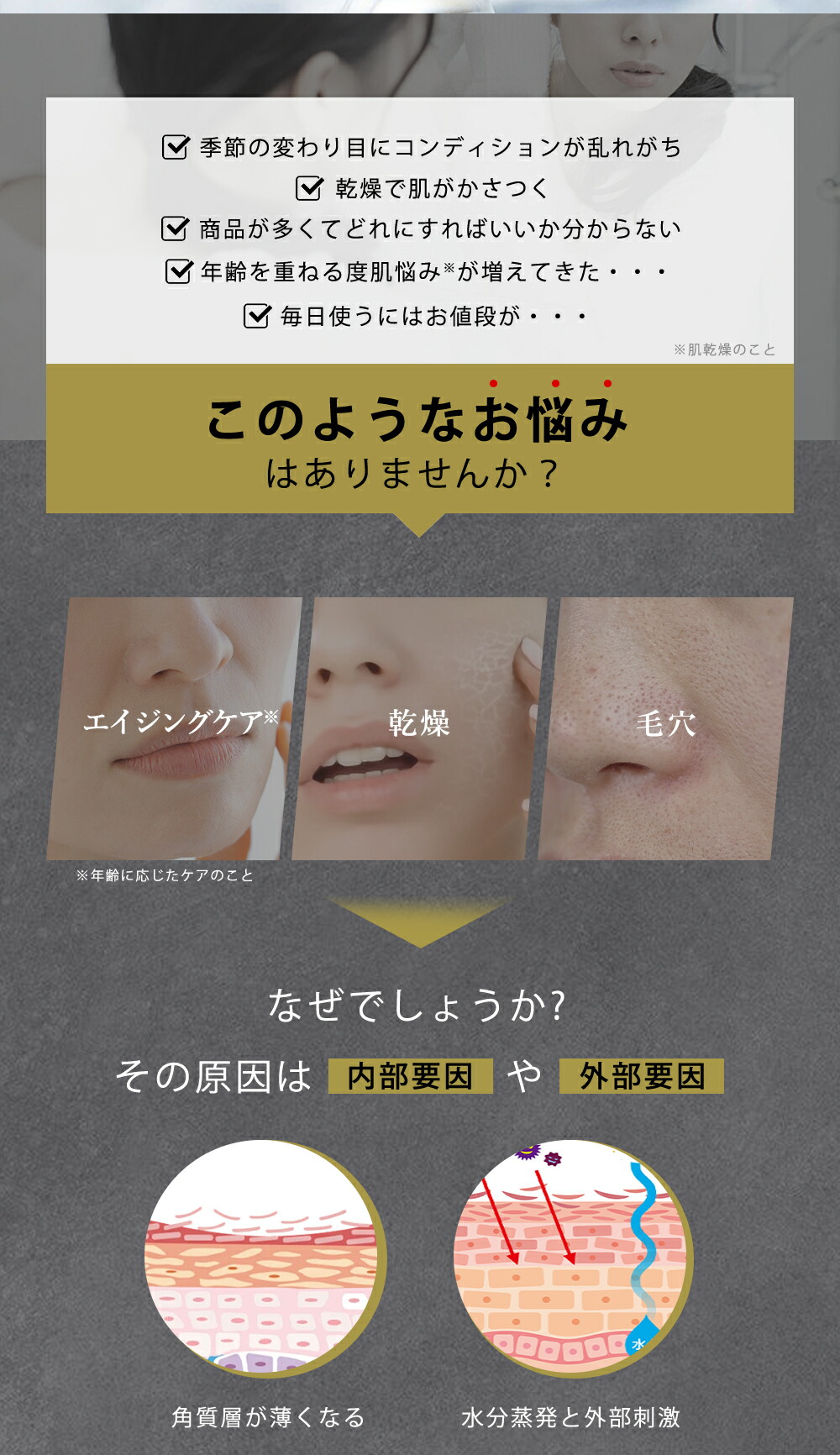 楽天市場】【高濃度成分UP☆新登場】公式 cicibella シートマスク 7枚