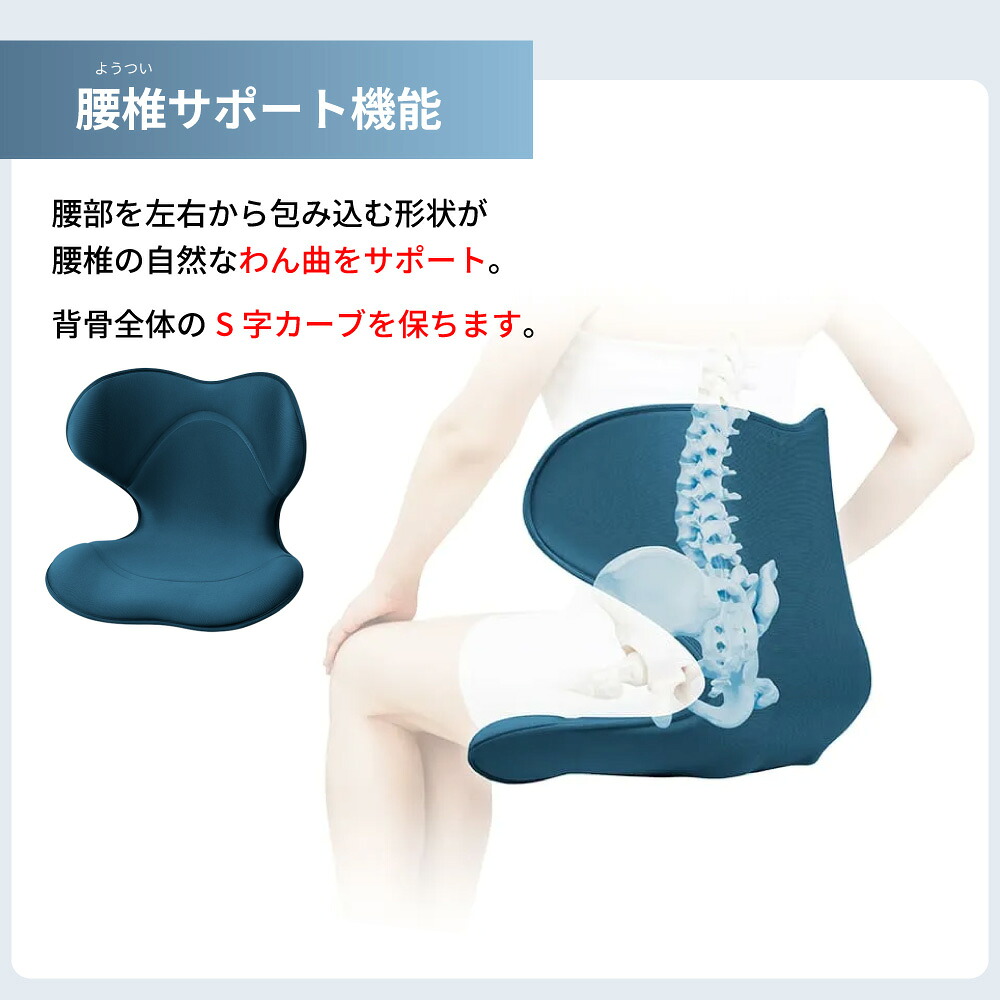 楽天市場】[最大400円OFFクーポン配布中] 【選べるW特典a】 姿勢