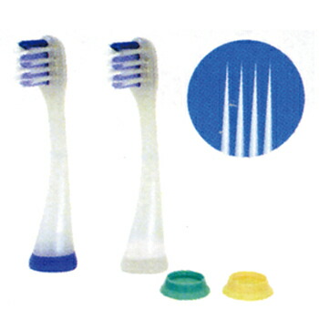 楽天市場】GC テーパーカーブフロート替えブラシ(ブルー)(プリニア用