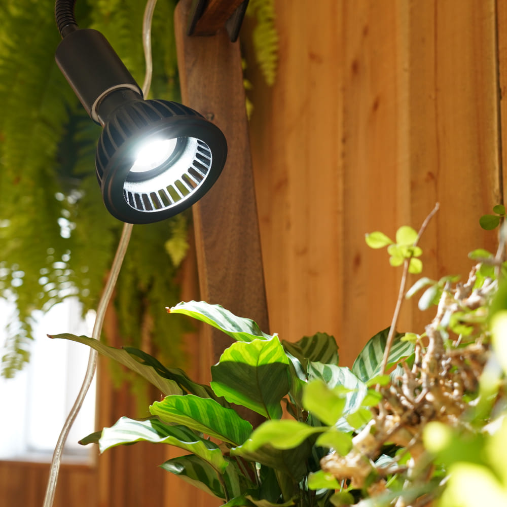 楽天市場】【3年保証】BARREL公式 植物育成LEDライト【AMATERAS-10W