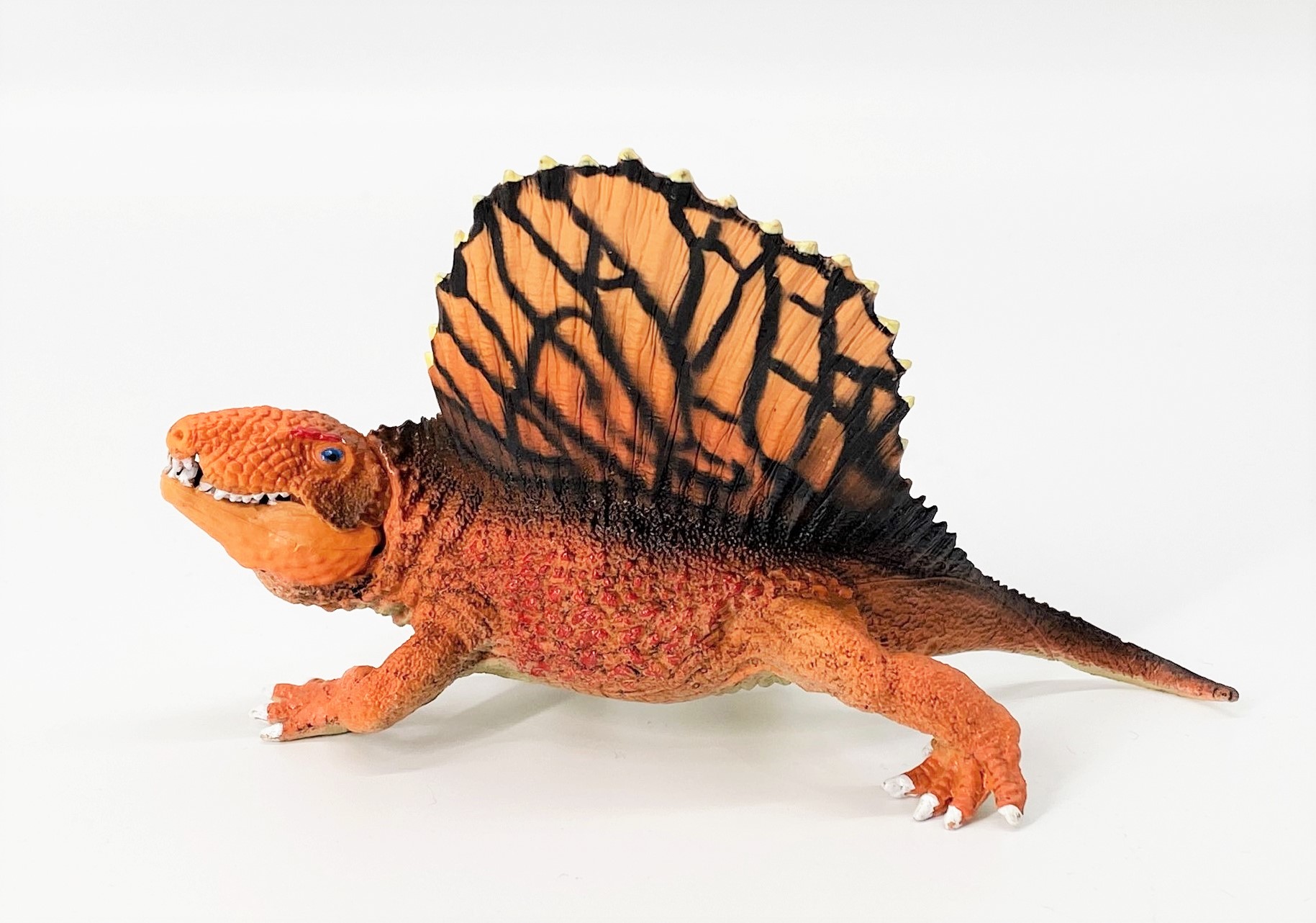 楽天市場】恐竜 フィギュア ディメトロドン おもちゃ キッズ