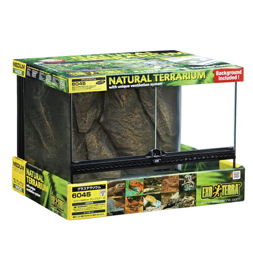 楽天市場】GEX エキゾテラ グラステラリウム 6045 爬虫類用 飼育ケージ