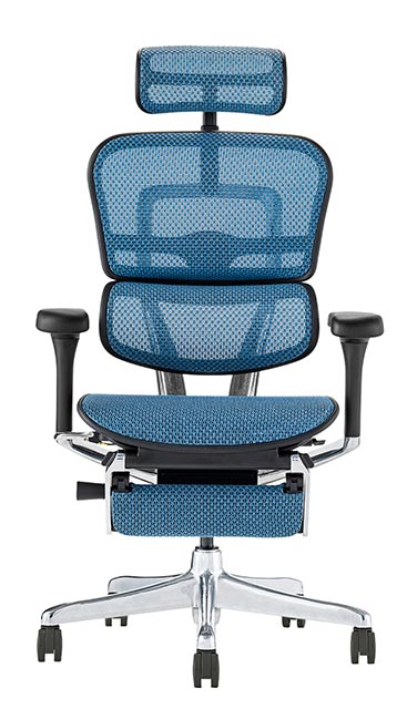 楽天市場】2025年新型 レビュー特典あり エルゴヒューマン プロ2