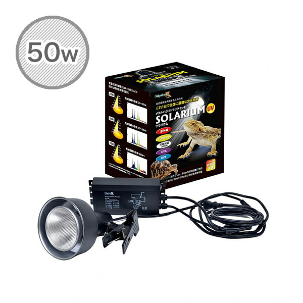 楽天市場】ソラリウム 50Wセット (メタルハライドランプ+共通安定器+