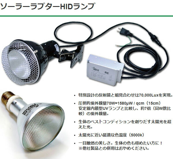 楽天市場】SOLAR RAPTOR HIDランプ 35W ソーラーラプター ソーラー