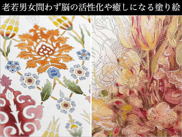 楽天市場】ペピンプレス PEPIN PRESS /【大人の塗り絵】カラーリング