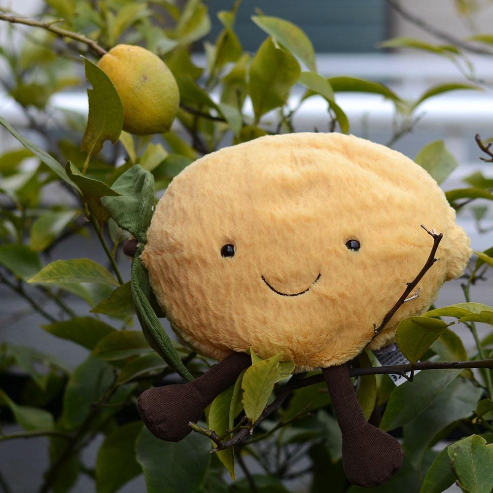 楽天市場】【正規販売代理店】【選べるラッピング】 Jellycat