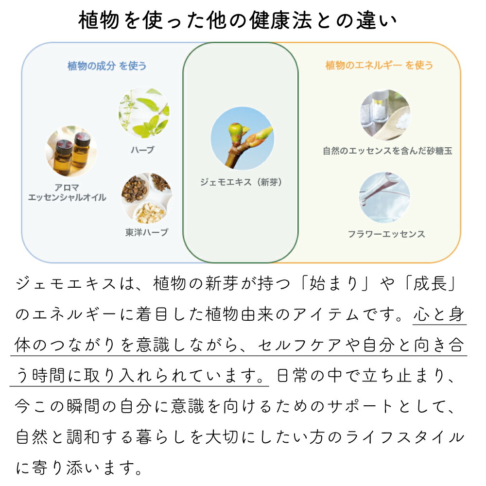 楽天市場】ジェモセラピー クルミ おなか バランス 腸活 無添加 無農薬