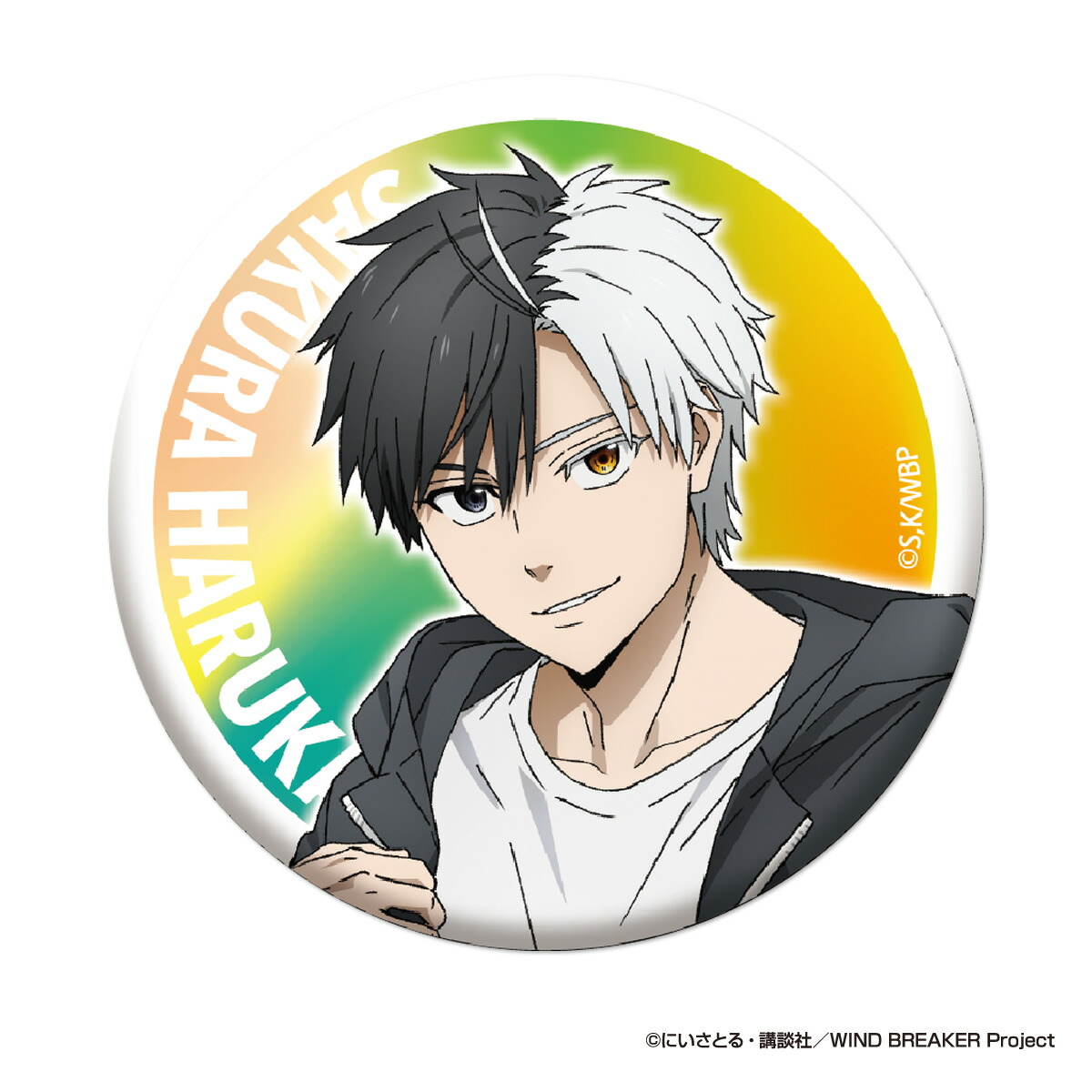 楽天市場】TVアニメ『WIND BREAKER』 グリッター 缶バッジ vol.2