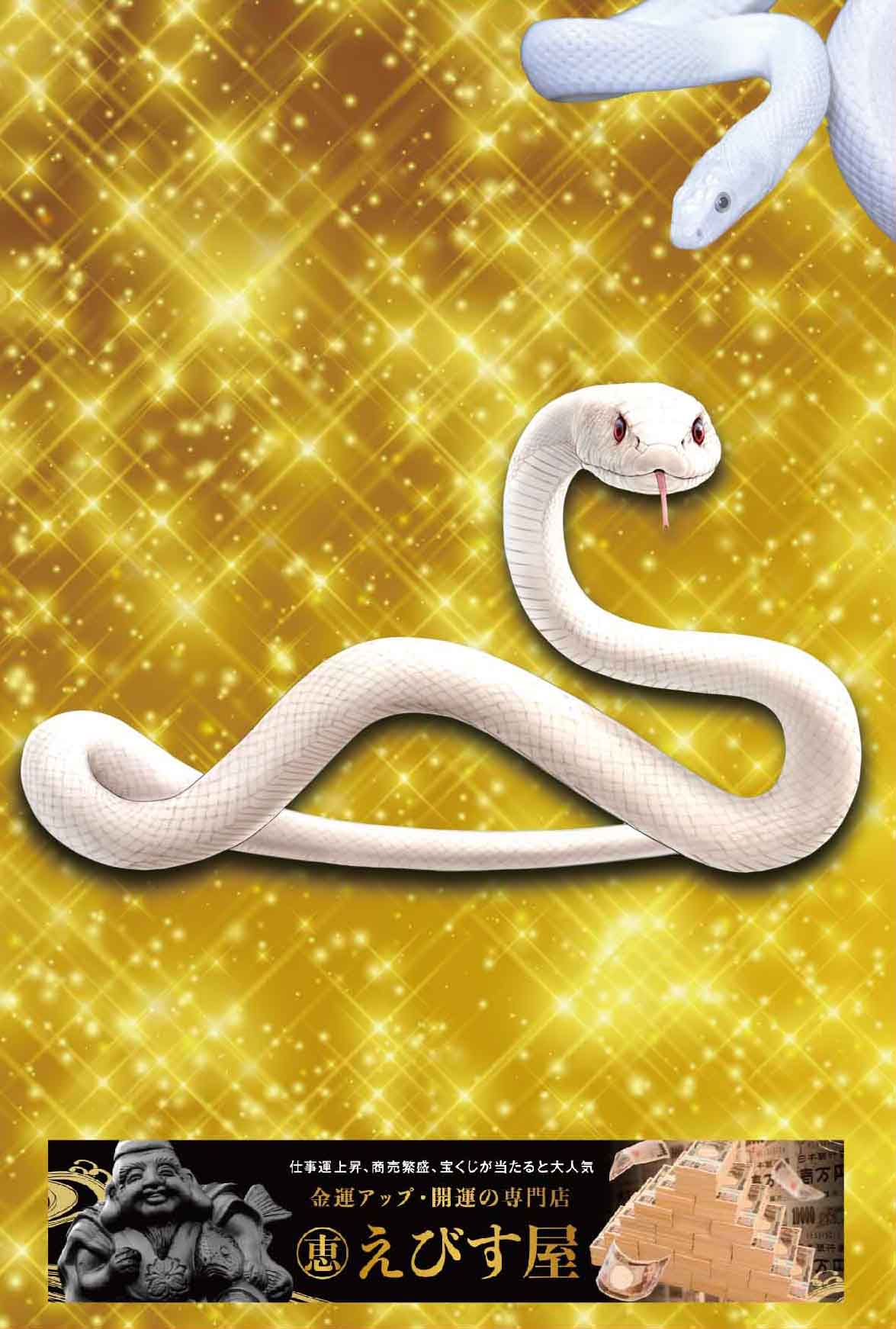 白ヘビの抜け殻 白ヘビの抜け殻まとめ売り 【公式通販】