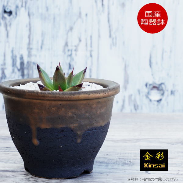 楽天市場】陶器鉢 植木鉢 3号フチ 底穴あり 金彩 ブラック おしゃれ