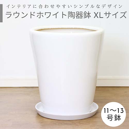 陶器鉢 大型」の人気商品一覧 | 安い商品を通販サイトから探す - 価格.com