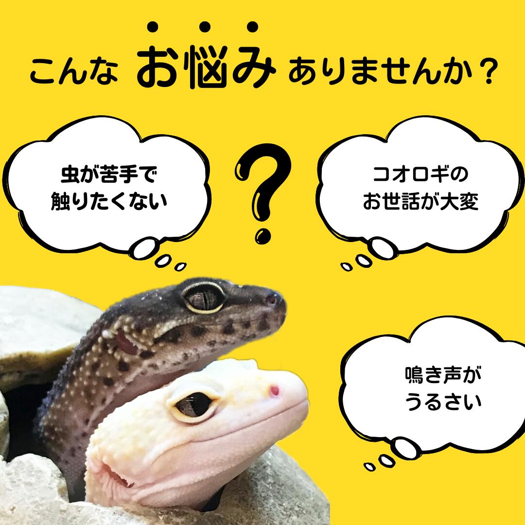 楽天市場】冷凍コオロギ ML 100g 300g 500g 1kg 送料無料 1.5cm-2cm程