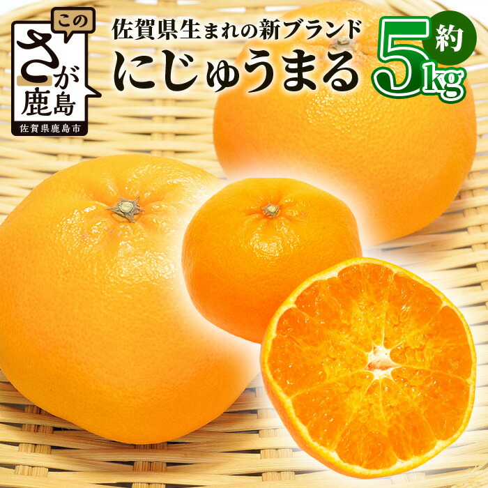 楽天市場】【ふるさと納税】《予約受付》新ブランドみかん にじゅう