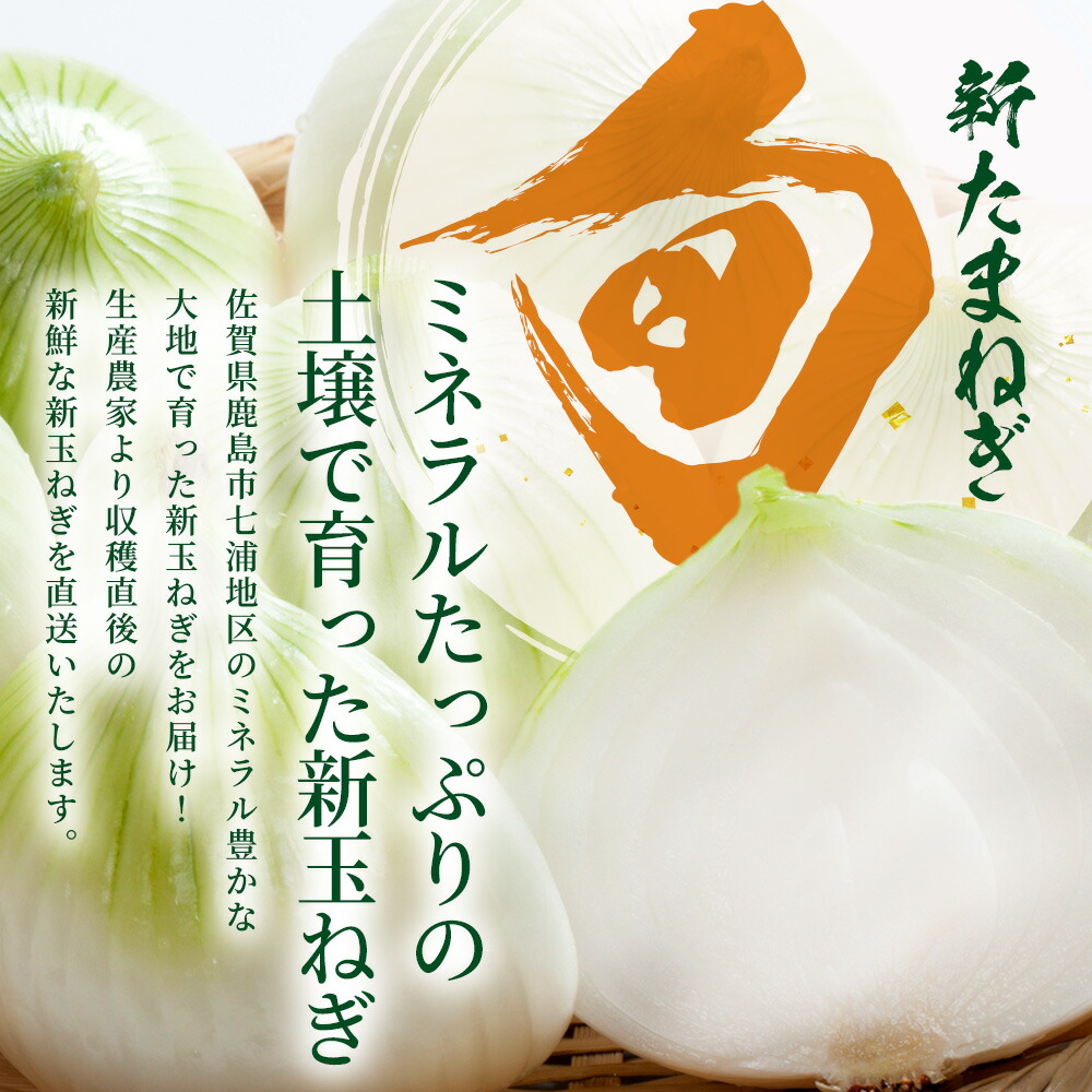 楽天市場】【ふるさと納税】 甘〜い！新たまねぎ 約5kg (MLサイズ