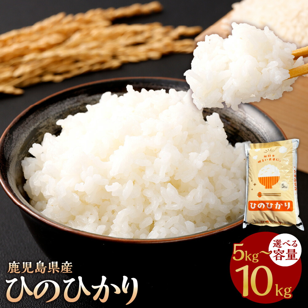 楽天市場】【ふるさと納税】＜選べる容量＞ 【新米先行予約