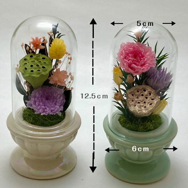 楽天市場】【プリザーブドフラワー仏花 蓮の実入り】 ミニミニ ガラス