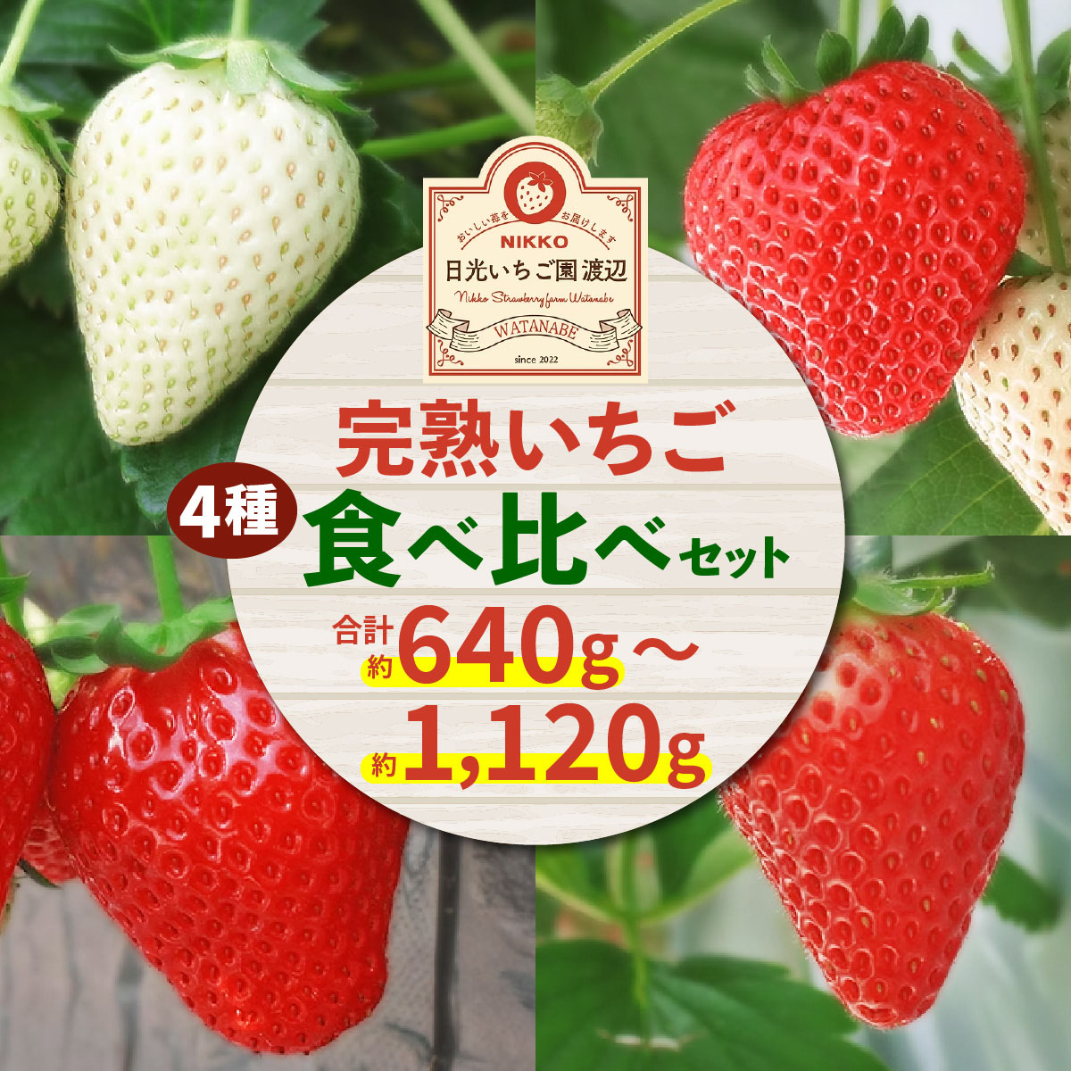 楽天市場】【ふるさと納税】[2026年1月上旬より順次発送] 4種類の