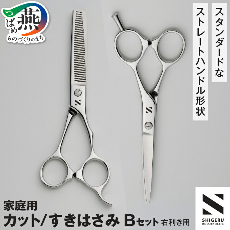 楽天市場】【ふるさと納税】 髪はさみ カット鋏 & 梳き鋏セット「B