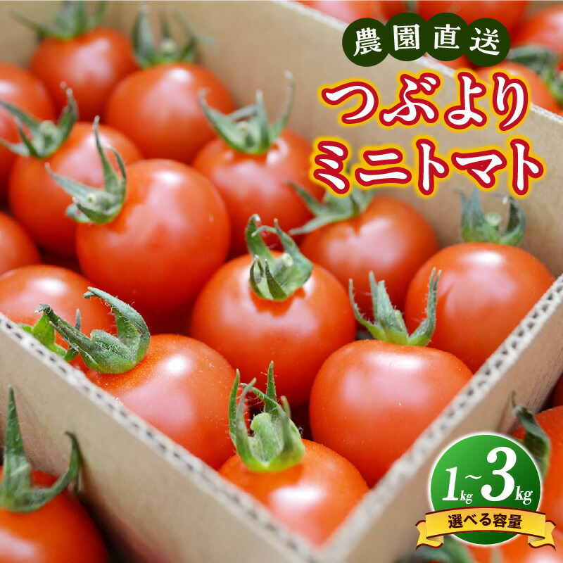 楽天市場】【ふるさと納税】農園直送 つぶより ミニトマト【選べる内容