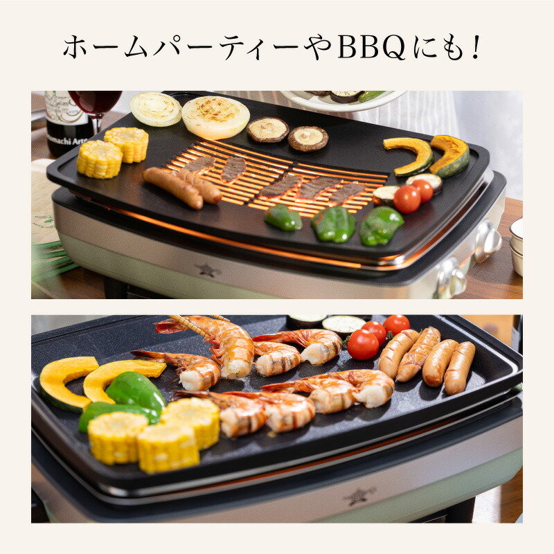 楽天市場】【ふるさと納税】アラジン 訳あり 特別寄附額 グリーン 緑