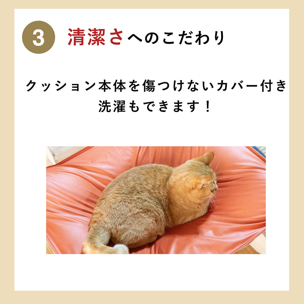 楽天市場】にゃくも 猫雲 猫用ハンモック l 猫 犬 洗える 組み立て