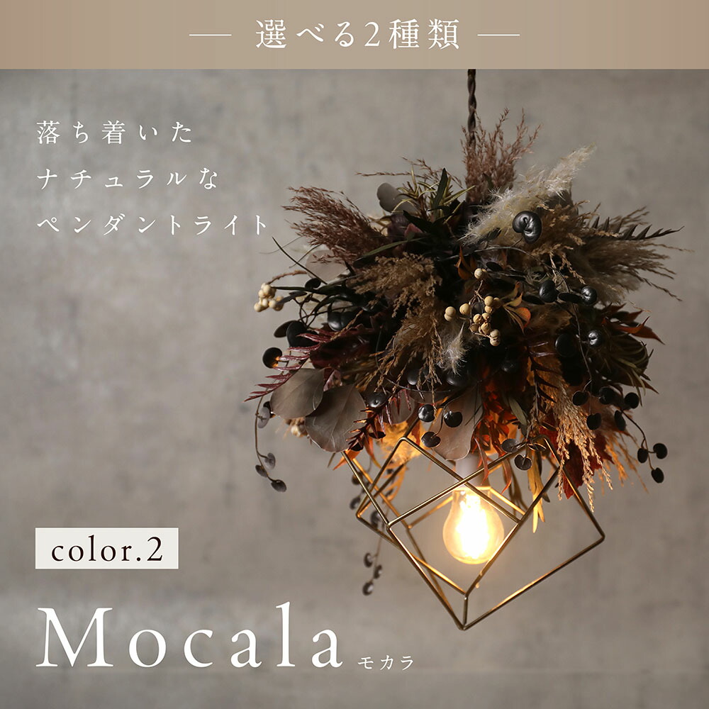 楽天市場】【3/4(水)20時開始 41,800円→37,620円】 ドライフラワー