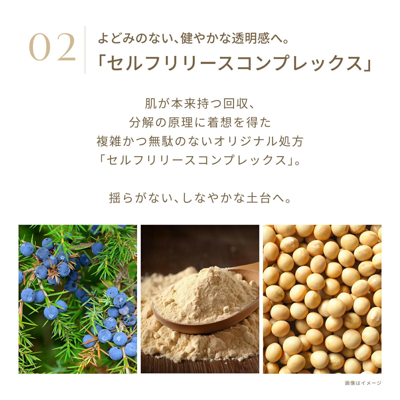 楽天市場】FATUITE公式 ブライテスト リリーシングローションa 乾燥