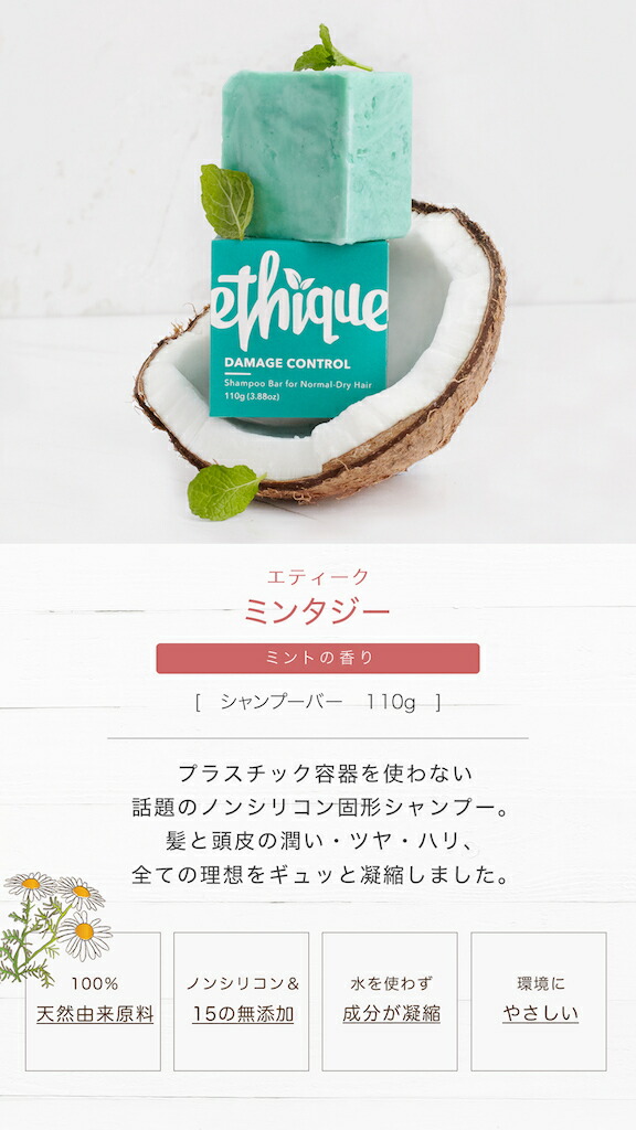 楽天市場】【公式】エティーク 単品【楽天1位】シャンプー バー