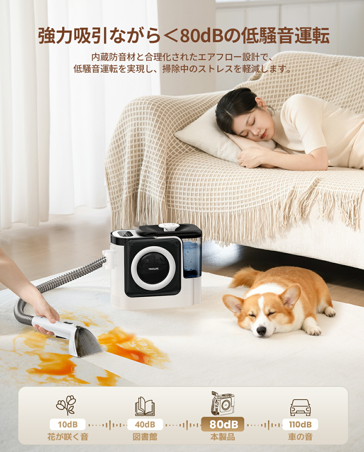 楽天市場】【楽天スーパーSALE！P8倍で業界最強クラスの吸引力