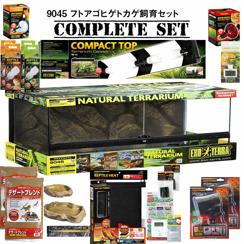 S*N様 爬虫類・両生類用レイアウトセット フトアゴヒゲトカゲ gex 飼育