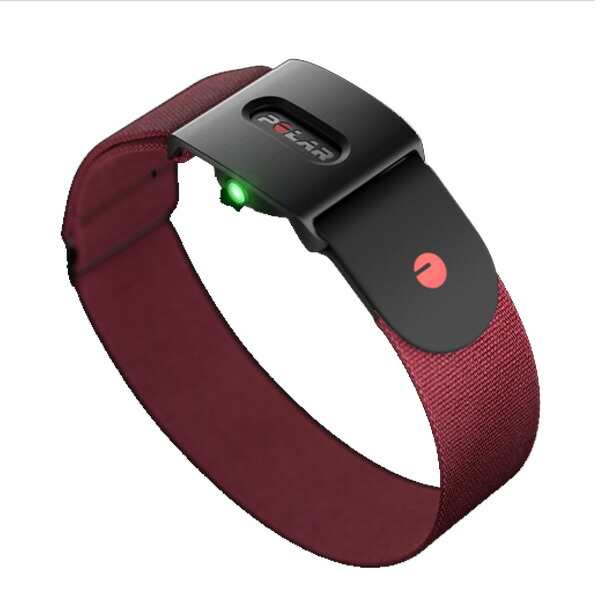 楽天市場】POLAR Verity Sense [国内正規品］ ポラール ダークレッド M