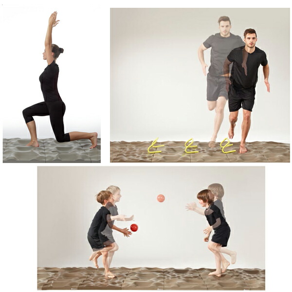 楽天市場】テラセンサ コアバランス 介護予防器具 ※代引不可