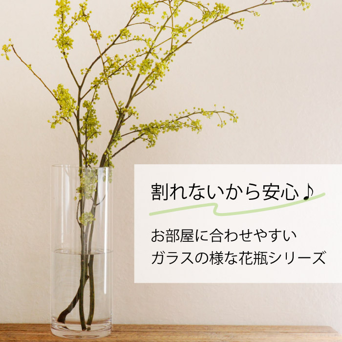 楽天市場】割れない花びんPVシリンダーH60 花瓶 ガラス【2300034