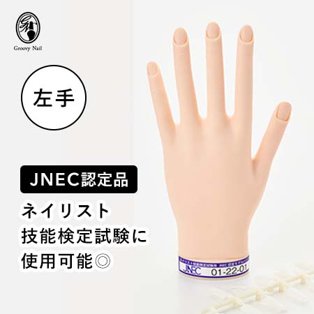 箱無し】ネイリスト技能検定試験 JNEC認定モデルハンド 公式チップ付き