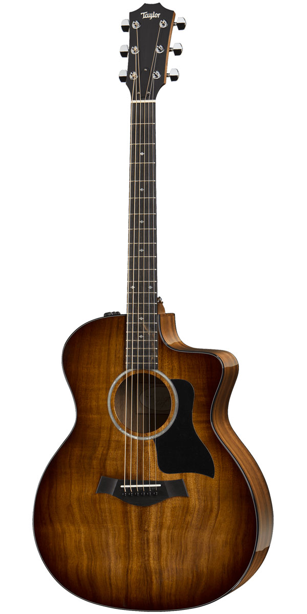 楽天市場】Taylor（テイラー）224ce Koa DLX : STARROW ONLINE STORE