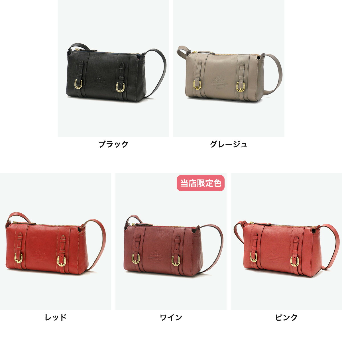 楽天市場】ダコタ限定革小物+選べるノベルティ 【当店限定色】 ダコタ