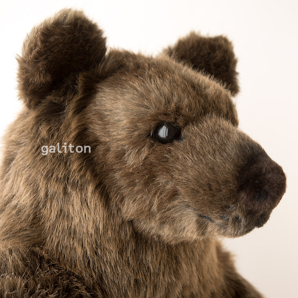 楽天市場】ケーセン Koesen ぬいぐるみ ソフトブラウンベア 特大 : 木