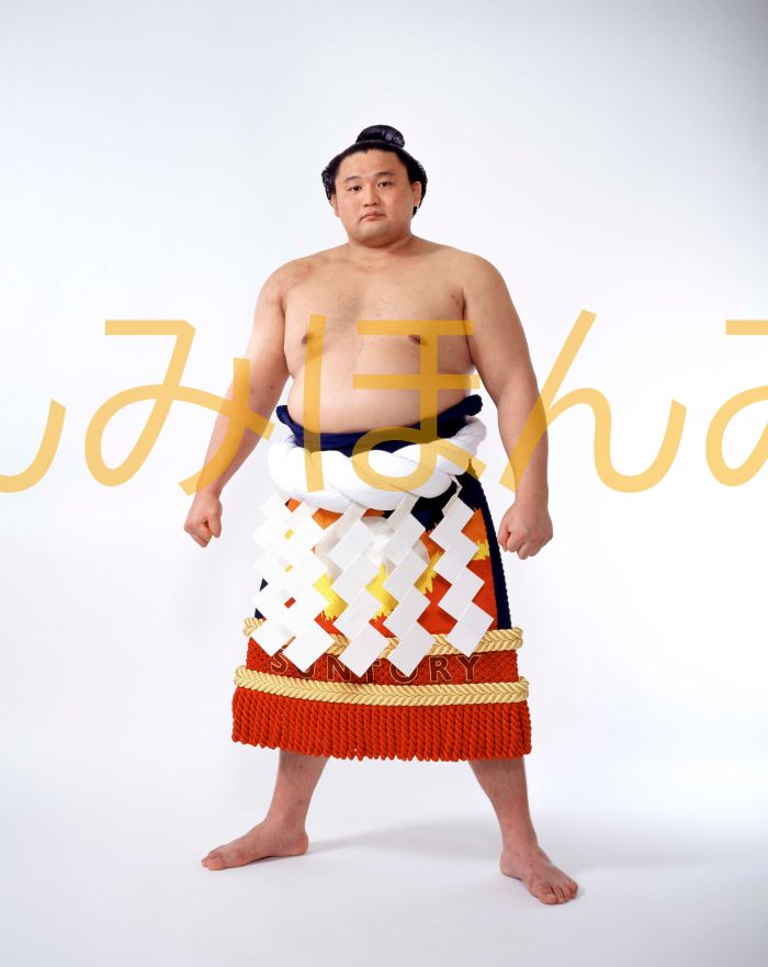 楽天市場】貴乃花光司関 優勝ミニ額 大相撲ミニ額 大相撲優勝額 平成9