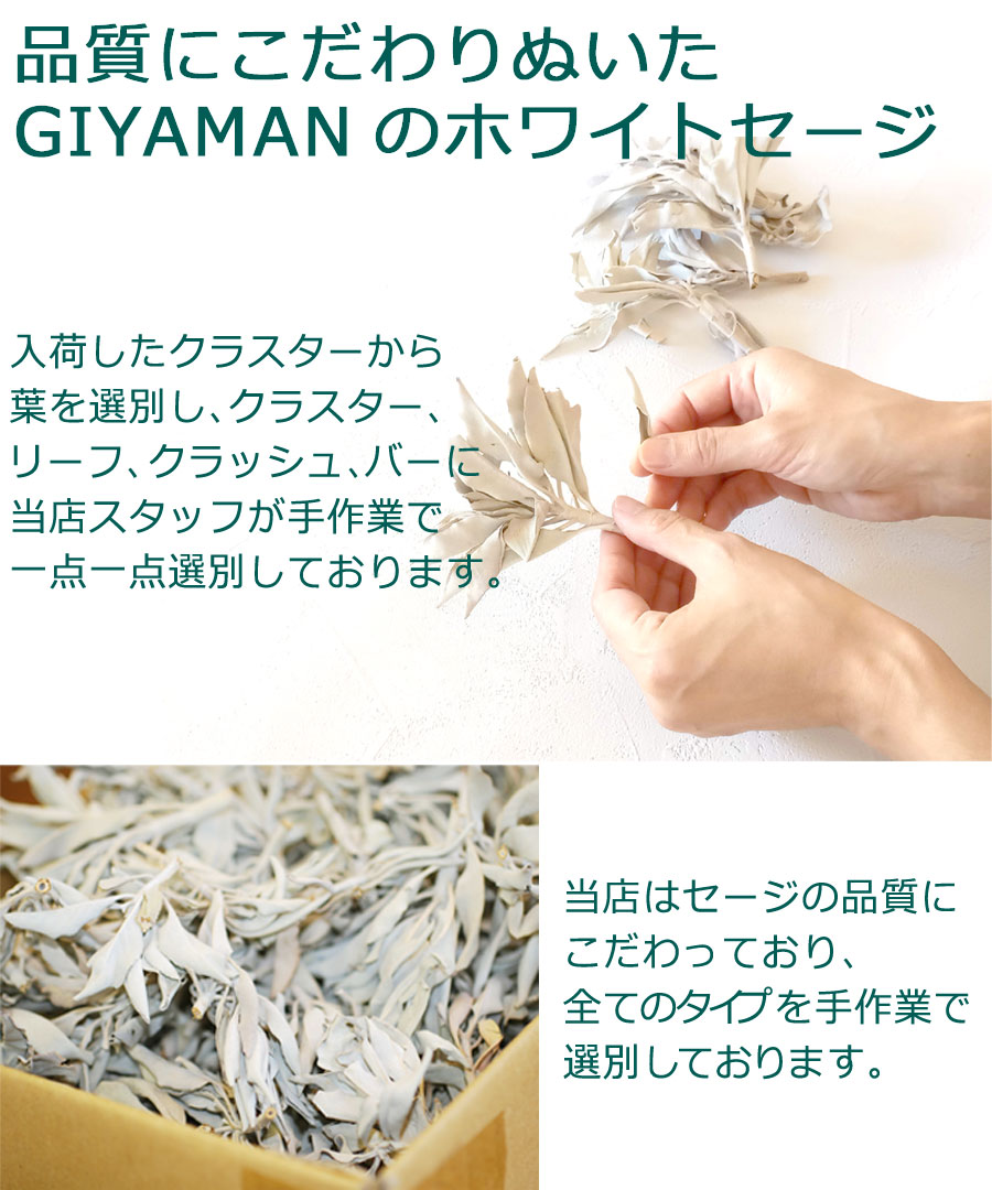 楽天市場】新鮮な香りのセージを輸入【期間限定10％増量中】＼完全無