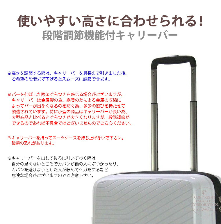 楽天市場】【最大25％OFFクーポン 3/3（火）9：59まで】スーツケース