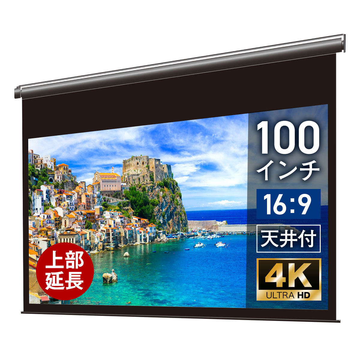 楽天市場】シアターハウス プロジェクター スクリーン 100インチ